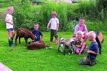 Bayerischer Wald ist beliebtes Reiseziel für Familien